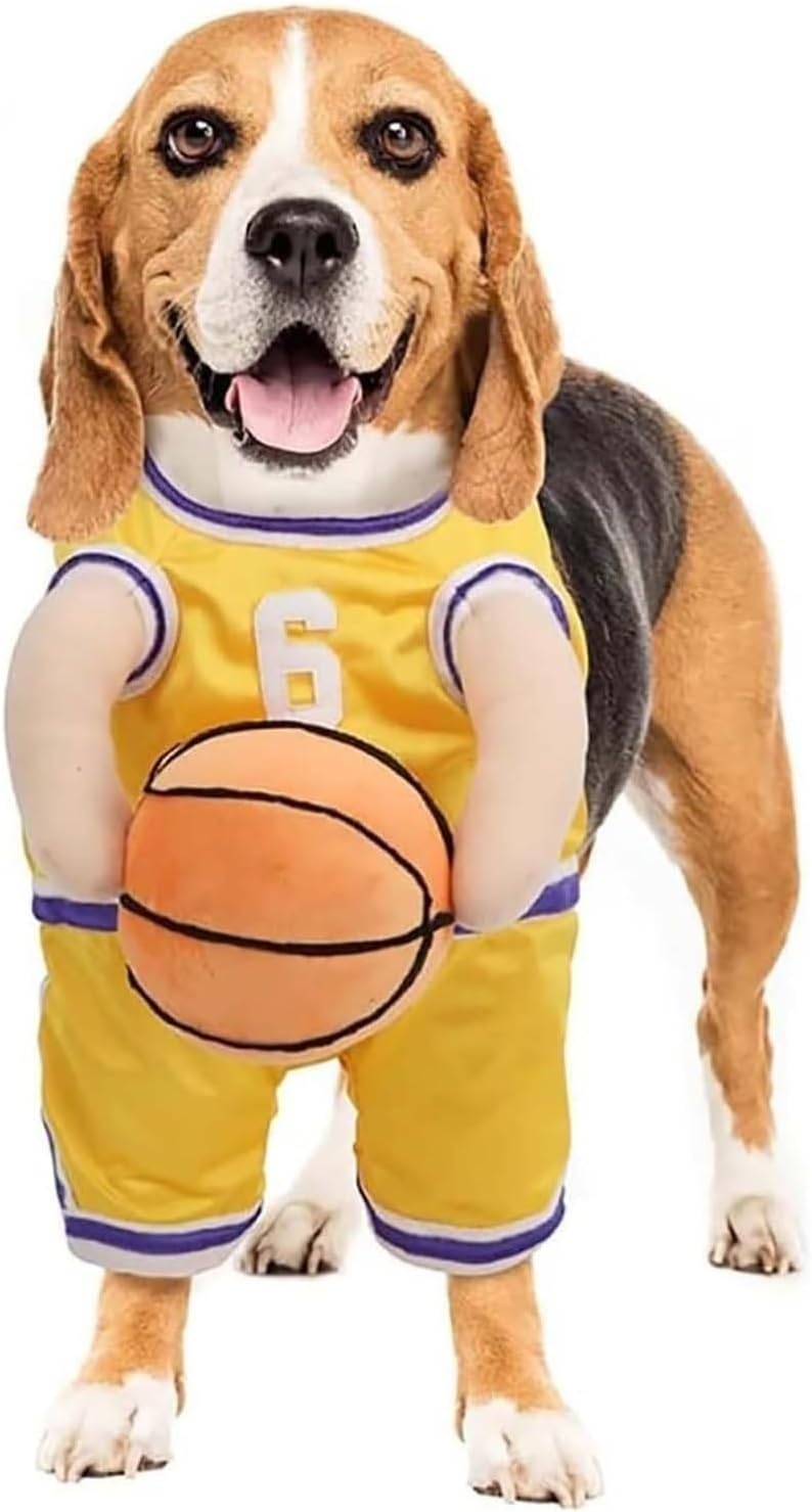 Funny Dog Basketball Costume with Ball in Hand