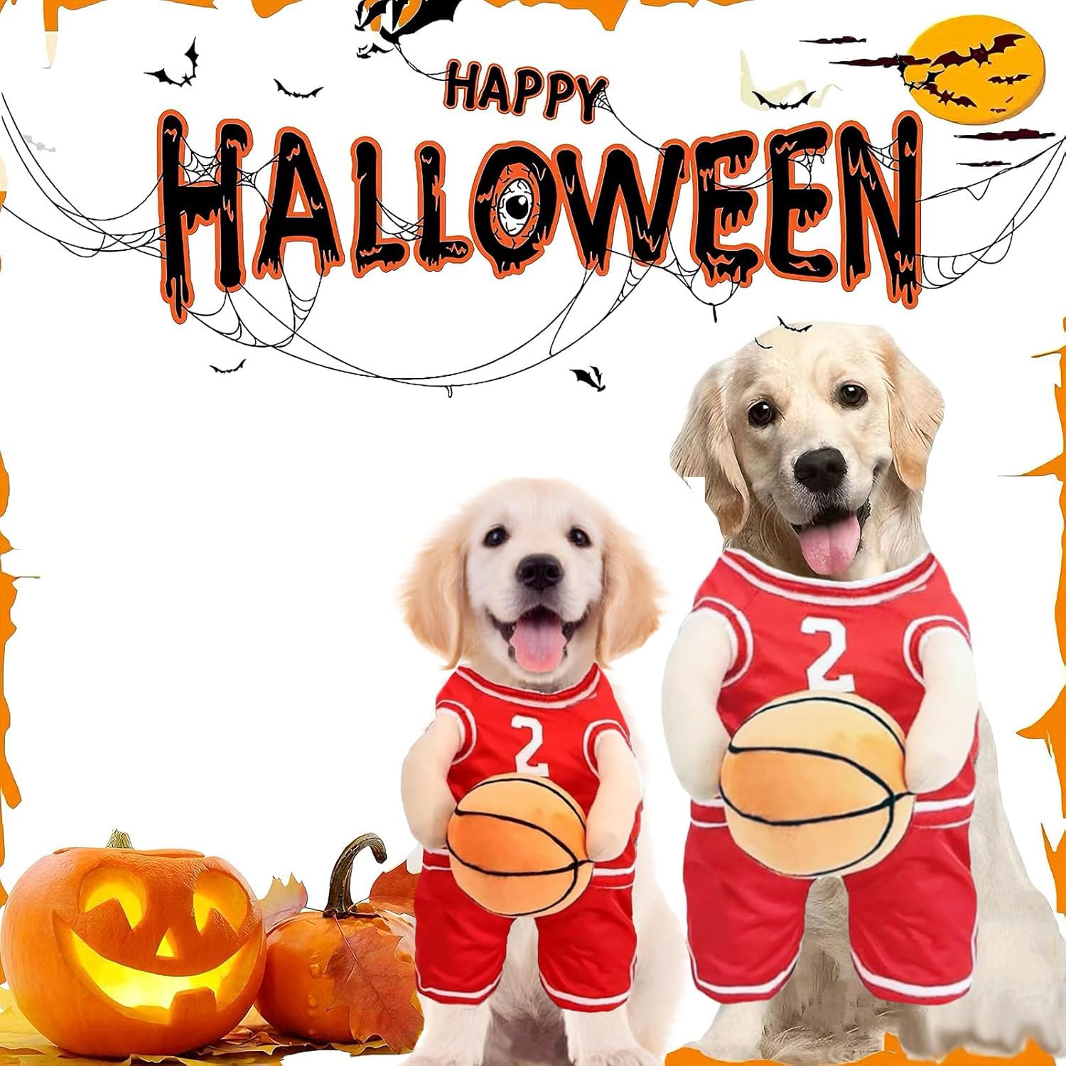 Funny Dog Basketball Costume with Ball in Hand