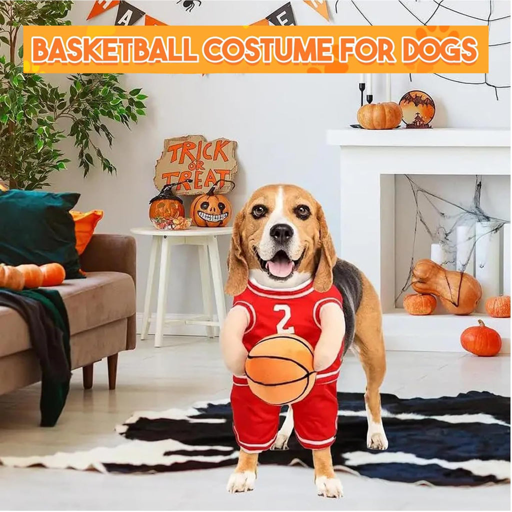 Funny Dog Basketball Costume with Ball in Hand