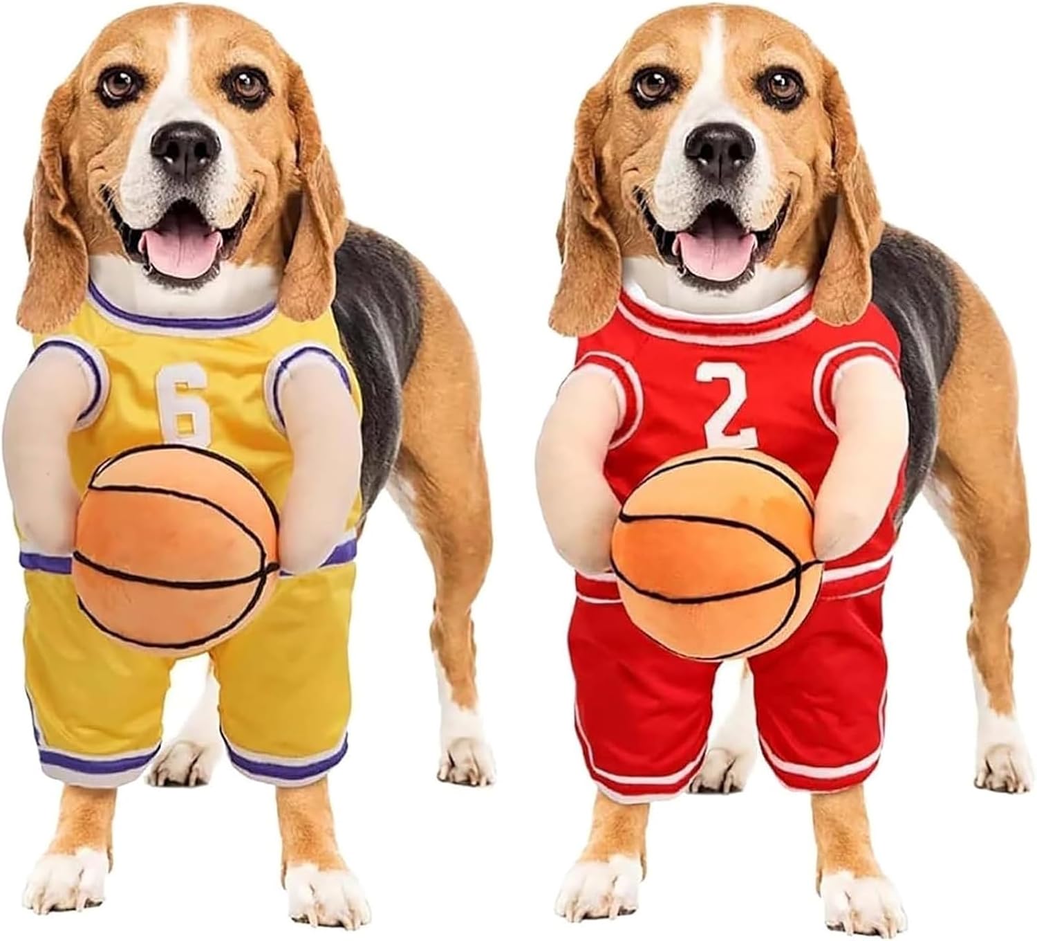 Funny Dog Basketball Costume with Ball in Hand