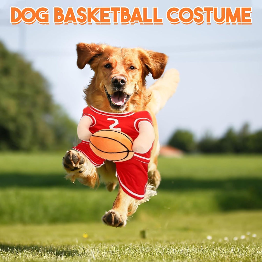 Funny Dog Basketball Costume with Ball in Hand