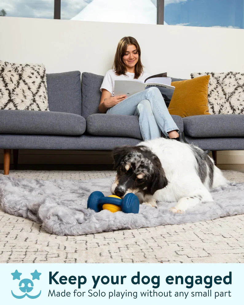 The ALL-in-One Dog toy